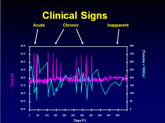 Clinical chart cartoon